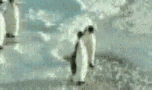 你也一樣