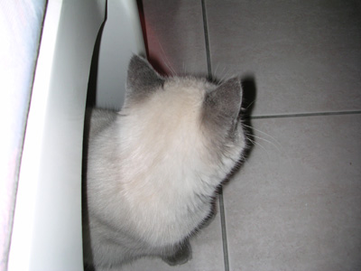 abbr_jGTWviLsNvQhih0z161FTu03aI76SxipZhh9Qgul9G9YgrtPazm4gPMBt24rU8mYnnSU4nzkOQyA.jpg