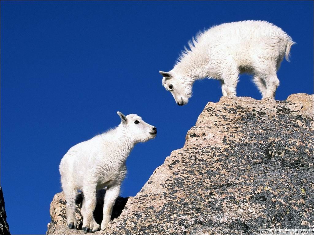 image001_mzZtrmQMgpLP.jpg
