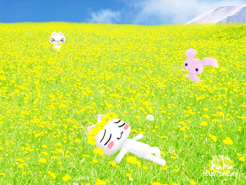 ohanabatake.jpg