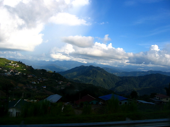 p118198580022.jpg