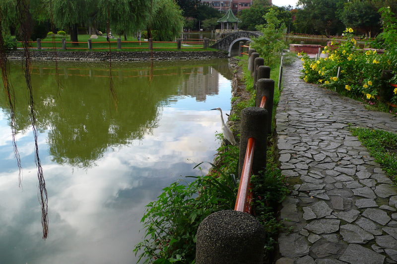 台大校總區醉月湖2.jpg