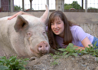 piggy.jpg