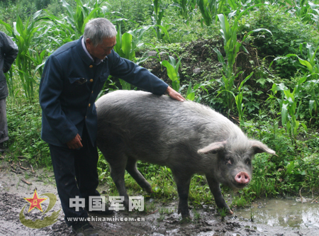 朱堅強跟牠原來主人萬興明老人.jpg