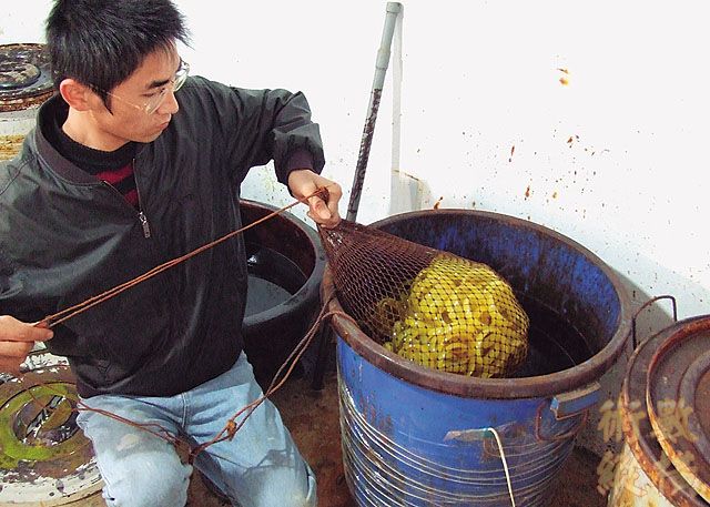 工人打磨完成 ， 再 浸 在 化 學 藥 劑 裡 。
