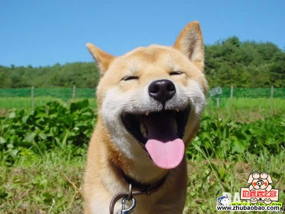 笑.jpg