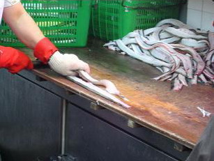 魚肉.jpg
