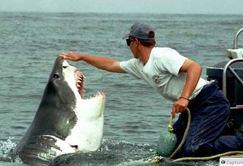 sharkandtheman005.jpg