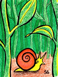 snail4.jpg