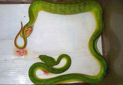ssnake2.jpg