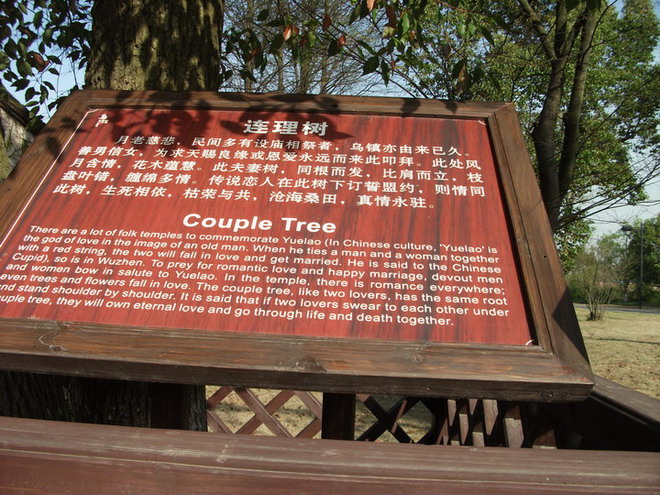 照片 128.jpg