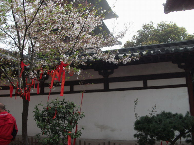 照片 203.jpg