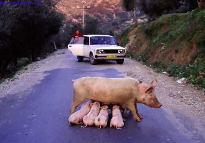 塞車.jpg