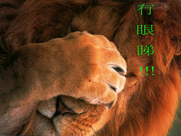 冇眼睇1.jpg