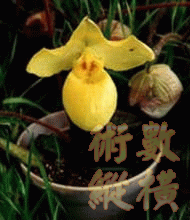010.gif