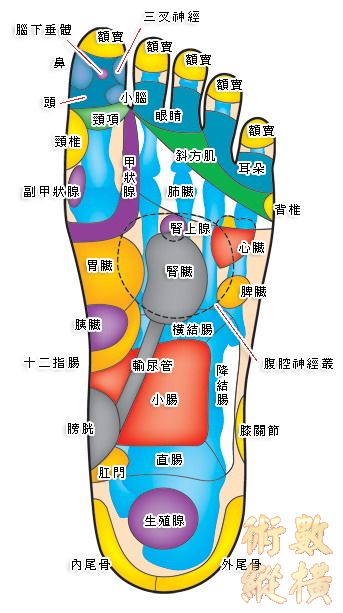 02.jpg