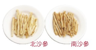 103.jpg