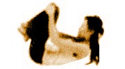 93.jpg