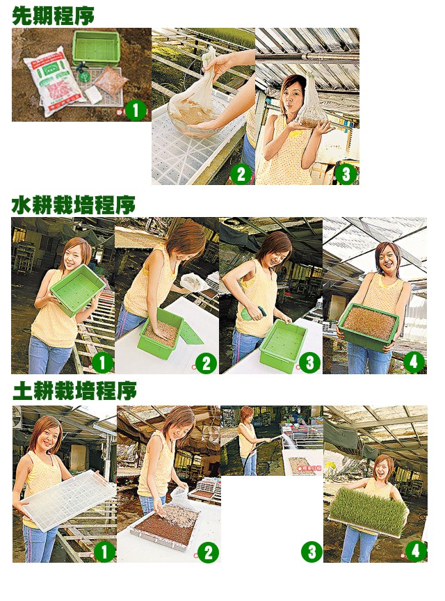 diy01.jpg