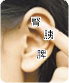 ear.JPG