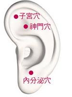 ear.JPG