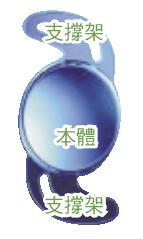 eye2.JPG