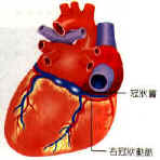 fig4-19.jpg