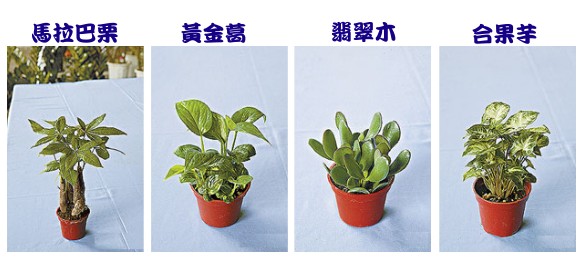 示範02.jpg