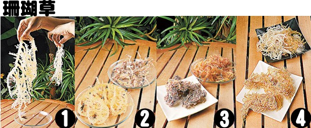 珊瑚草.jpg