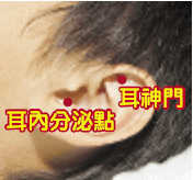 sp004.gif