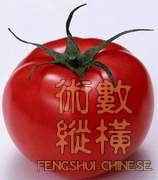 t01.jpg