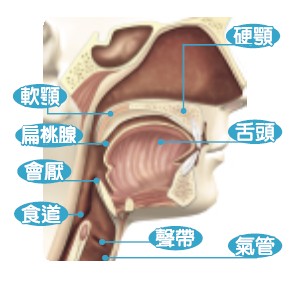 t01.jpg