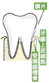 t02.jpg