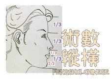 teeth08.jpg
