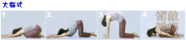 yoga31.jpg