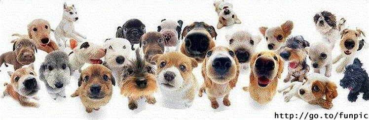 !image001.gif