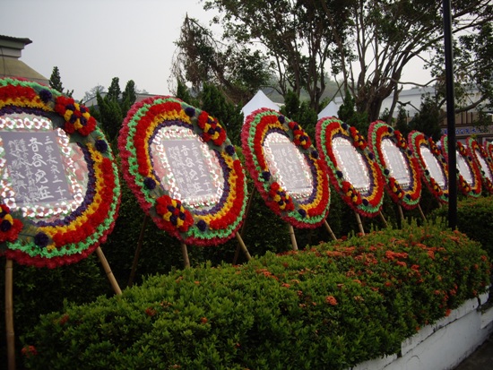 IMGP6113_Bc4qVfjCXvHr.jpg