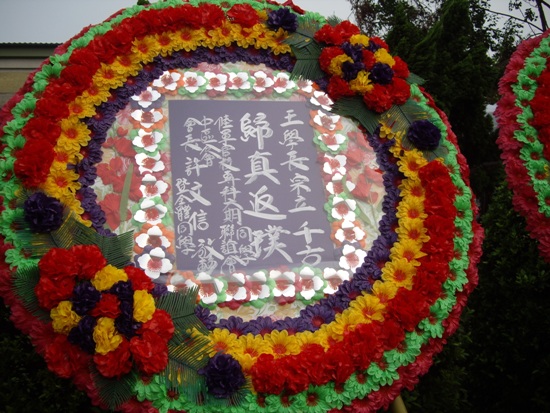 IMGP6121_qrzo0a6RC5uu.jpg