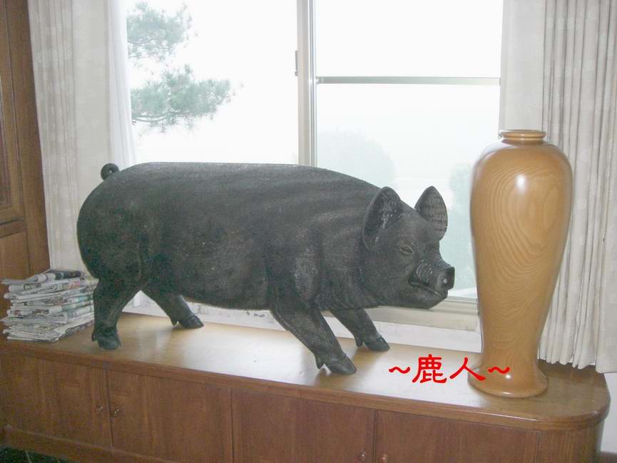1豬CIMG3147.JPG