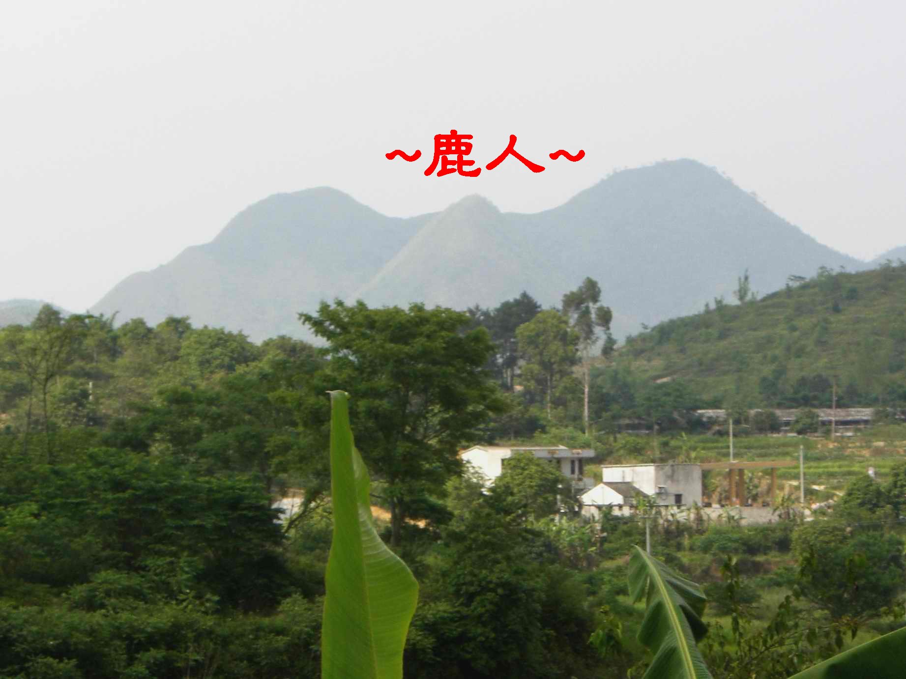起飛_168.JPG