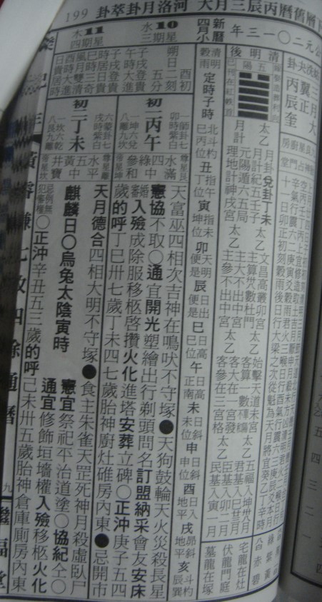 31.jpg