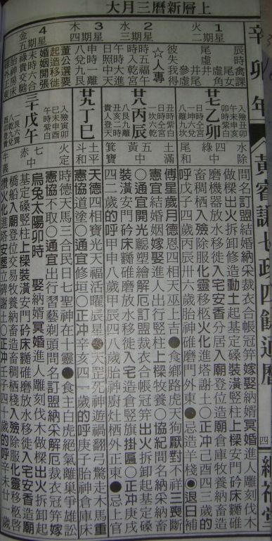 t9.jpg