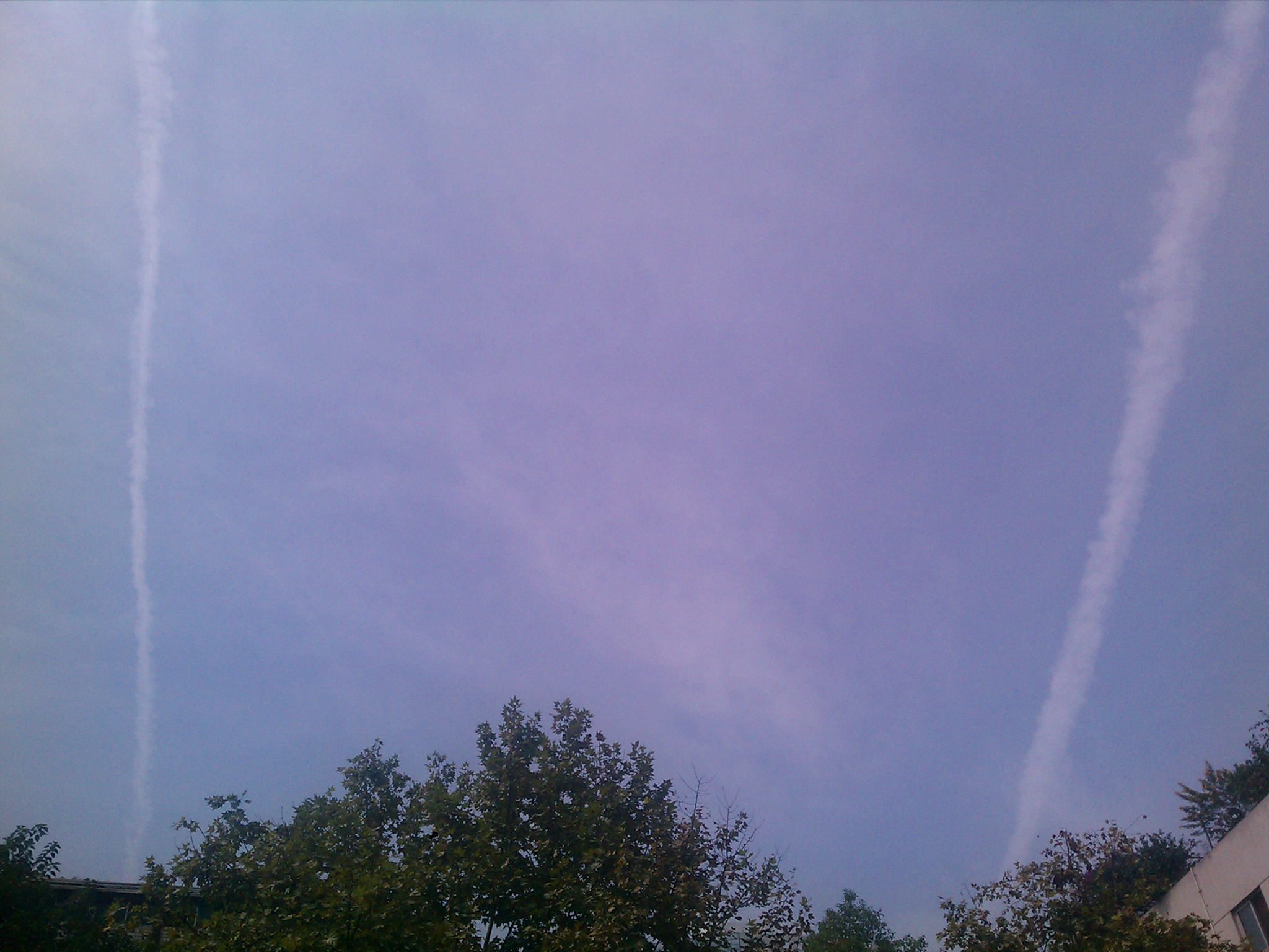 IMAG0895.jpg