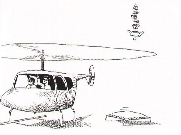 r_1135318034394.jpg