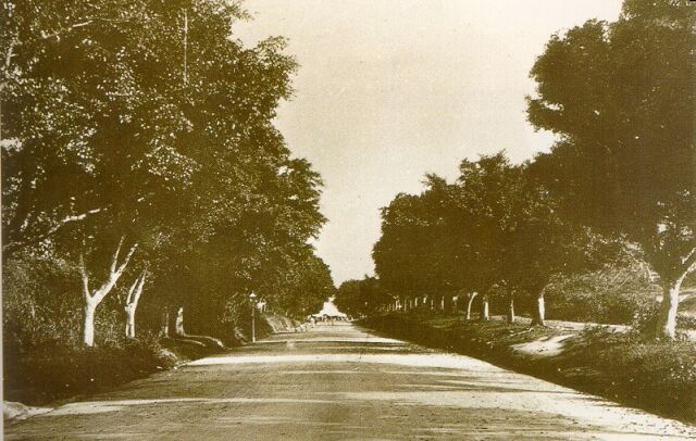 1900彌敦道.jpg
