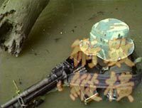 in_water1.jpg