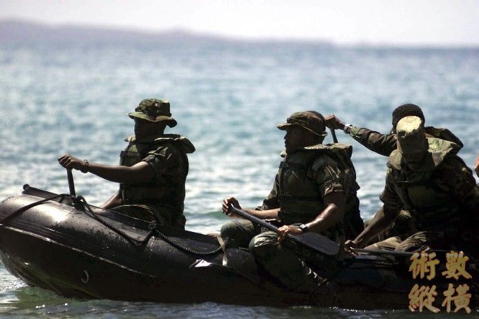 seal071.jpg