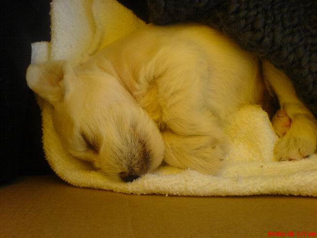 DSC00373.JPG