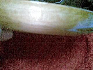 羅盤側面-萬安老吳魯衡涵記_嫡傳