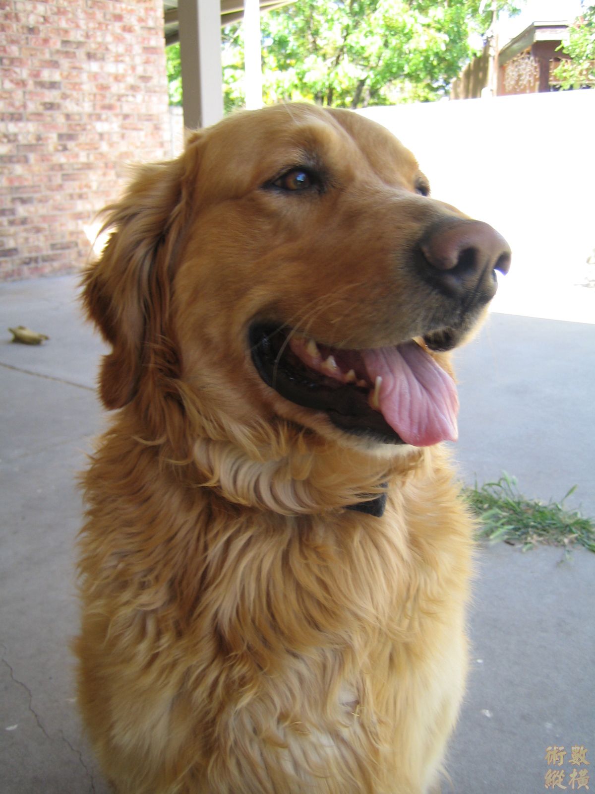 IMG_3949.JPG